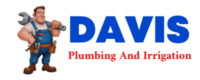 Trusted plumber in MIKADO